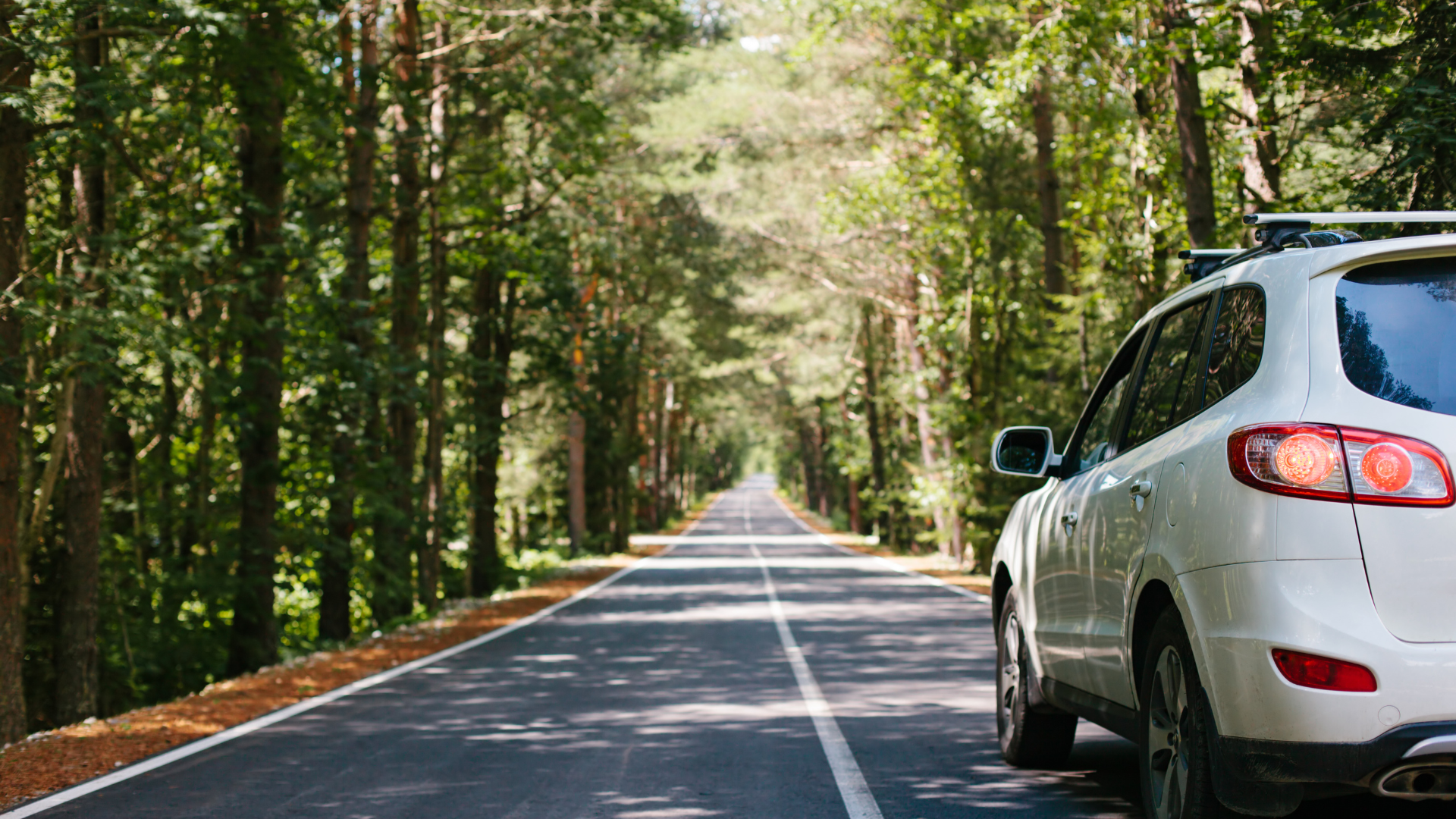 A white car on the road in spring